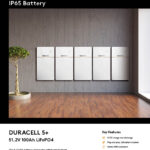 D5PLUS Datasheet 1 PD