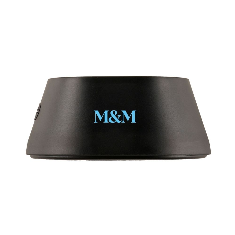 Branded Bluetooth speakers for corporate gifting